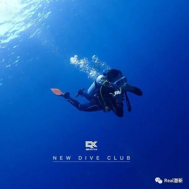 冰球突破游戏网站